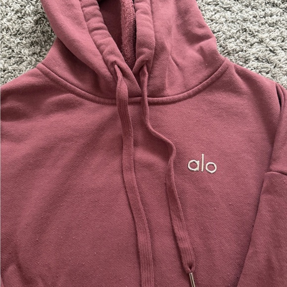 ALO Yoga Hoodie & Jogger Set - Dusty Rose - Picture 3 of 7